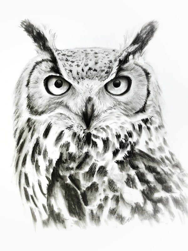 Streng - portret van een oehoe in houtskool