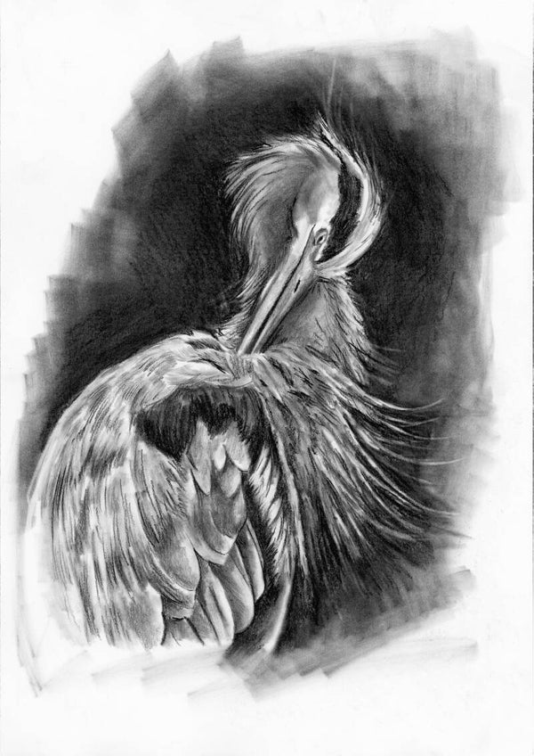 Poetsbeurt - reiger in houtskool