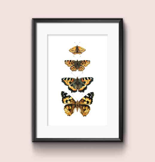Print Vlinders A4
