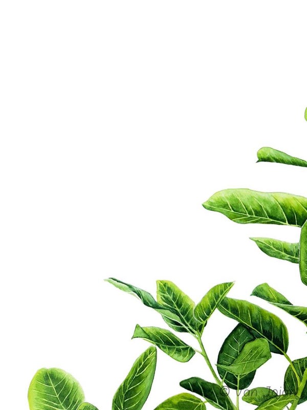 "Groen blad"