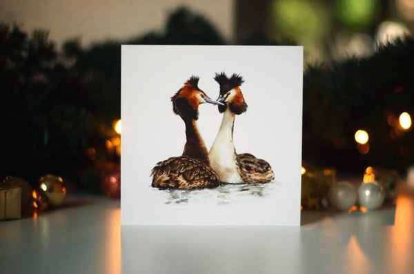 Dubbele winterkaart futen