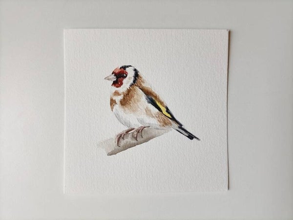 Puttertje - Kleinkunst serie