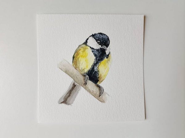 Koolmeesje - Kleinkunst serie