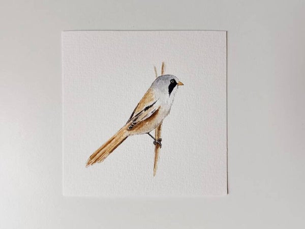 Baardmannetje - Kleinkunst serie