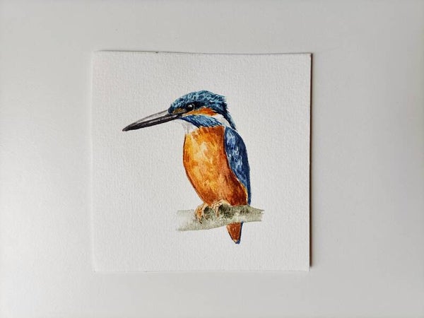 IJsvogel - Kleinkunst serie