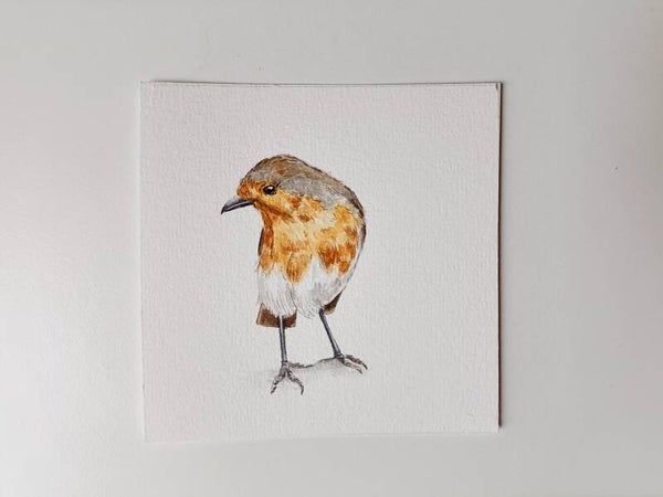 Roodborstje - Kleinkunst serie