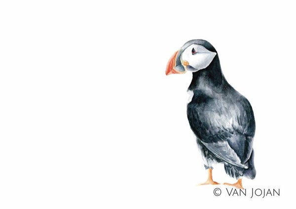 Papegaaiduiker - serie "De Zee"