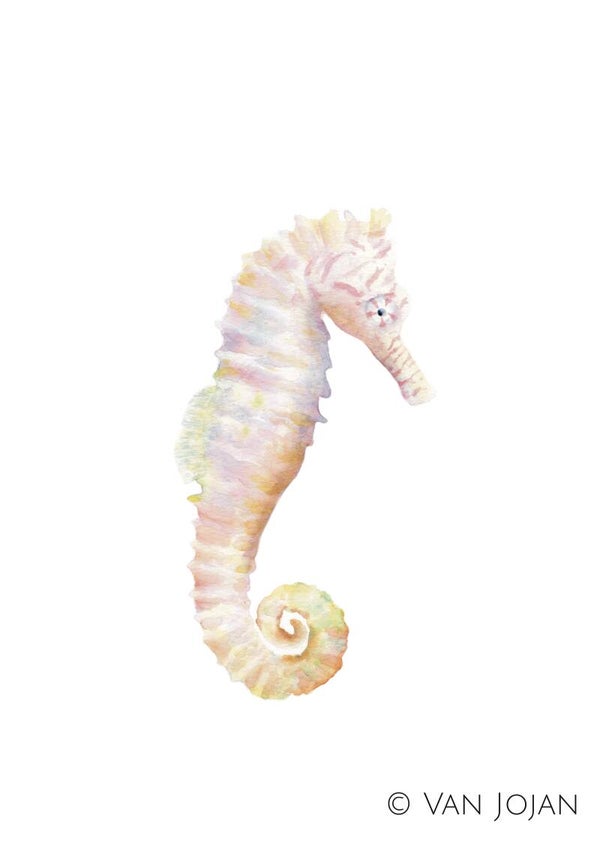 Zeepaardje - serie "De Zee"