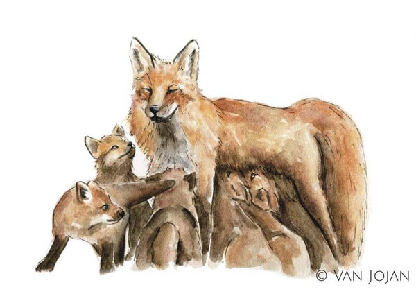 Mama vos - serie kleurstudies herfst