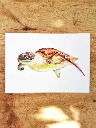 Kaart "Zeeschildpad"