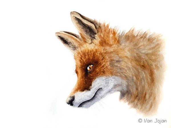 "Staren in de verte"