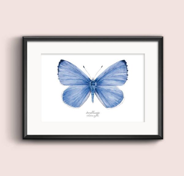 Print Boomblauwtje A5