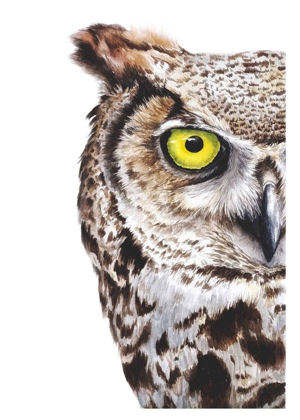 Close up van een Ransuil