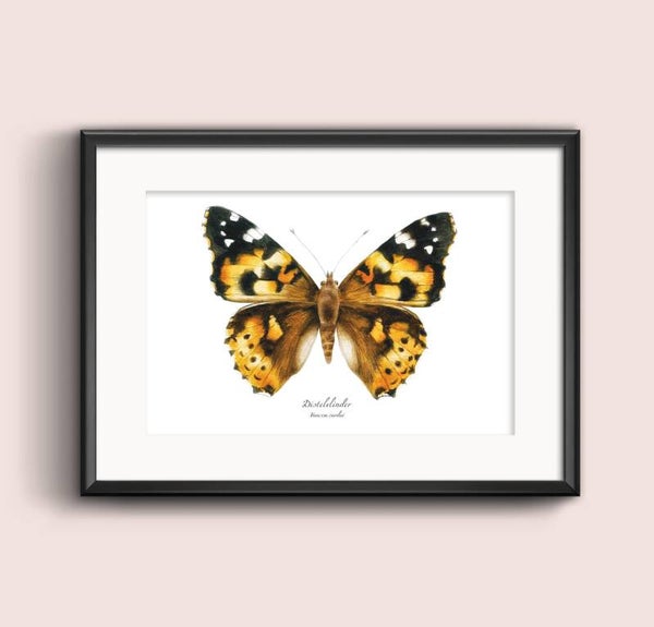 Print Distelvlinder A5