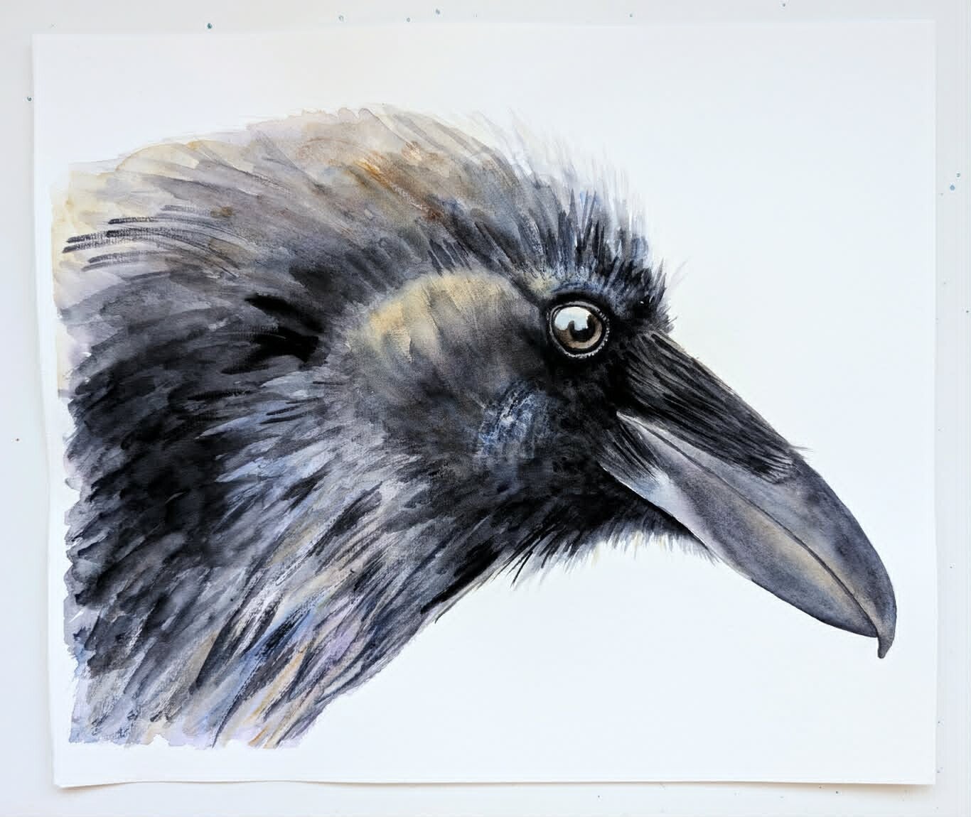 Portret van een kraai