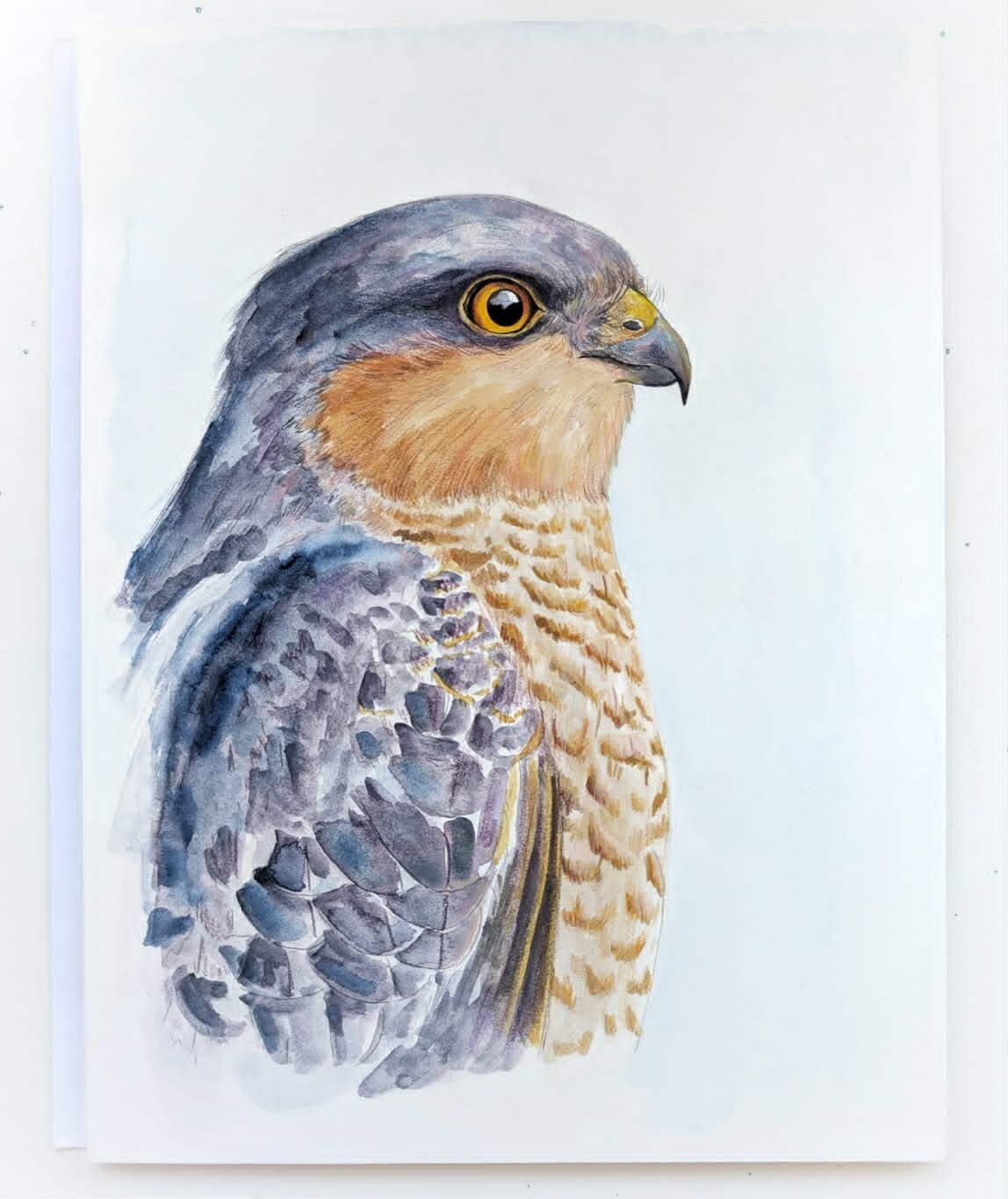 Portret van een valk