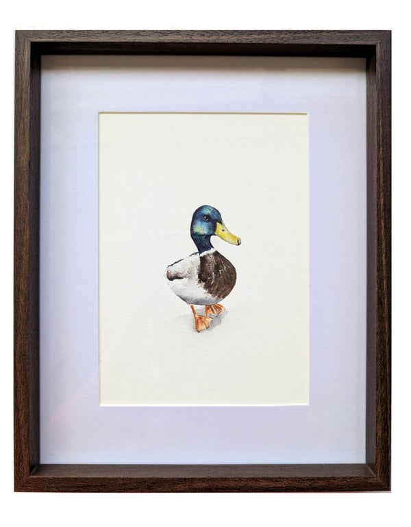 Ingelijste aquarel van een eend