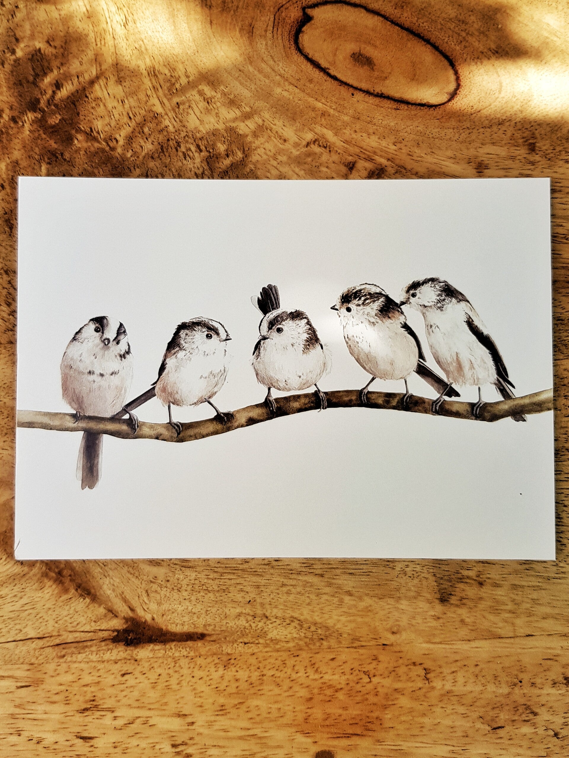 Kaart "Tak vol staartmeesjes"