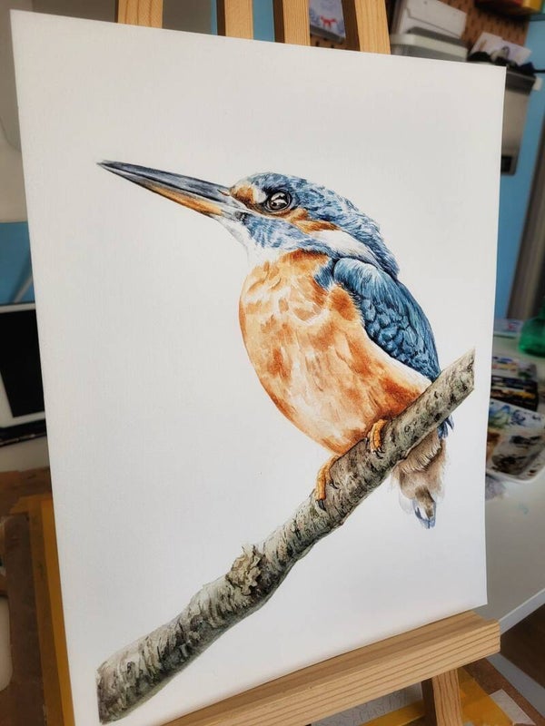 Aquarel ijsvogel