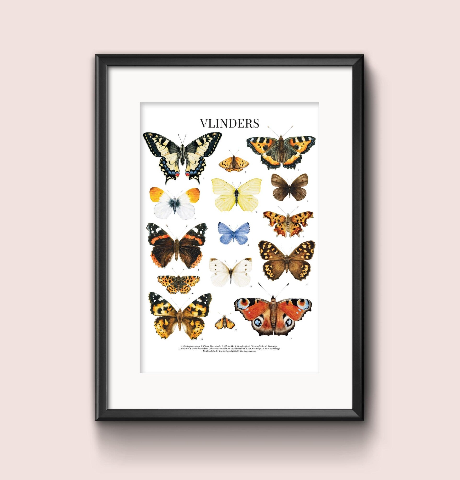 Vlinders print A4