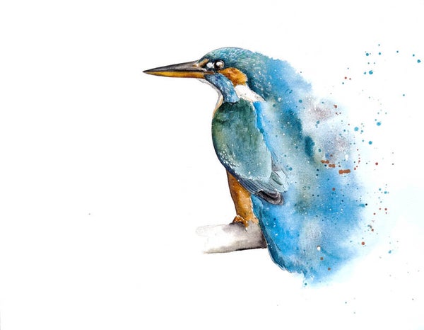 IJsvogel abstract