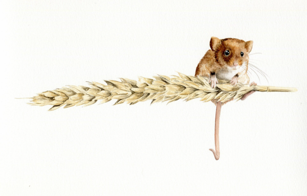 "Nog even volhouden"