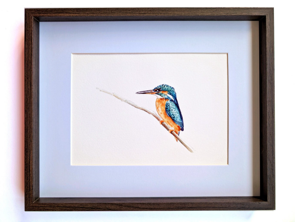 Ingelijste aquarel van een ijsvogel op een tak