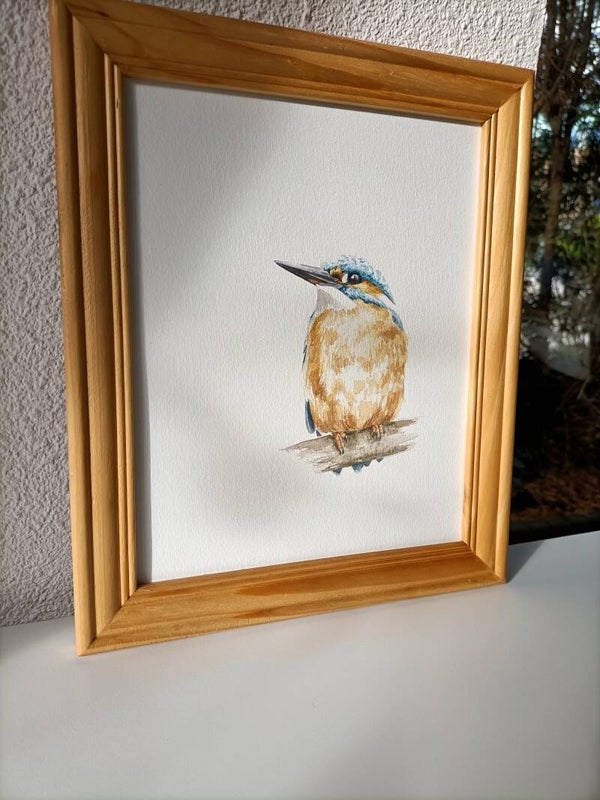 Kleurstudie IJsvogel - inclusief lijst