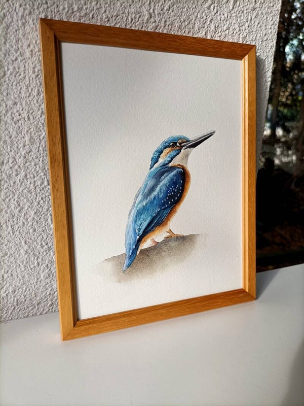 IJsvogeltje - inclusief lijst