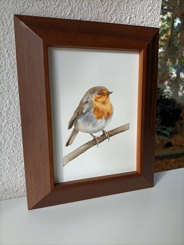 Roodborstje - inclusief lijst