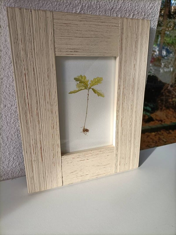 Een scheutje hoop - inclusief lijst