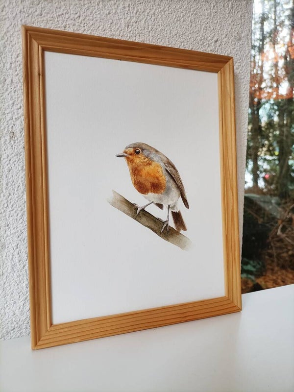 Roodborstje - inclusief lijst