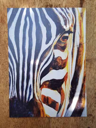 Kaart "Zonnige zebra"