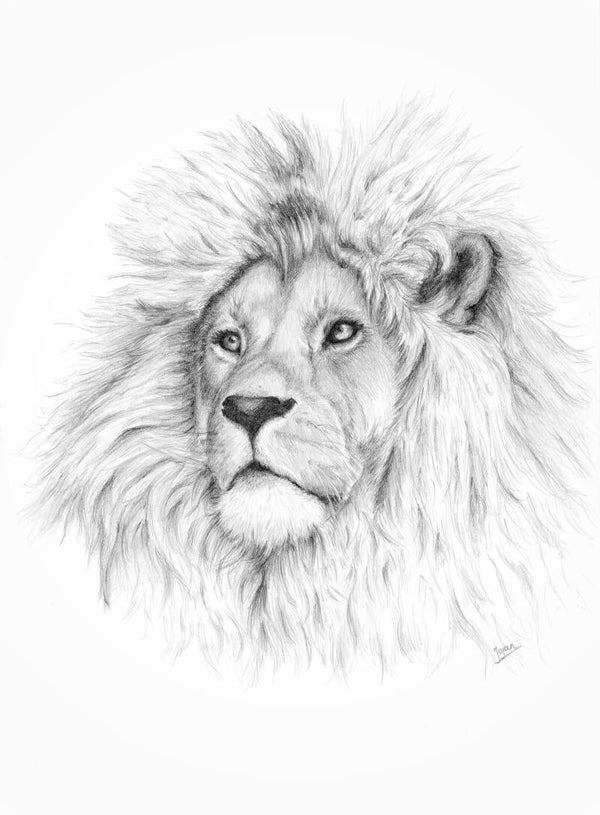 Haren in de wind - leeuw in grafiet