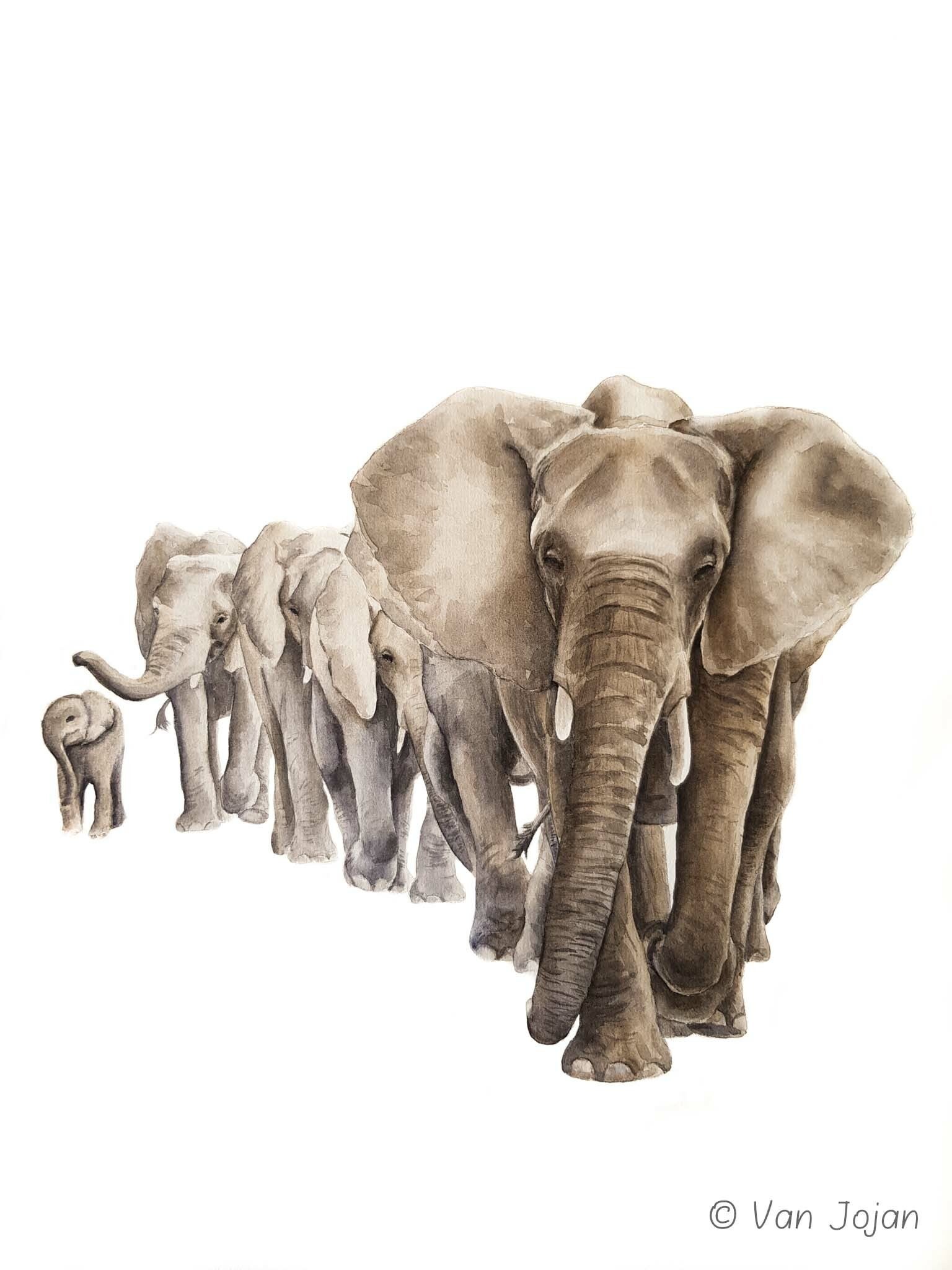 "De matriarch en haar dames"