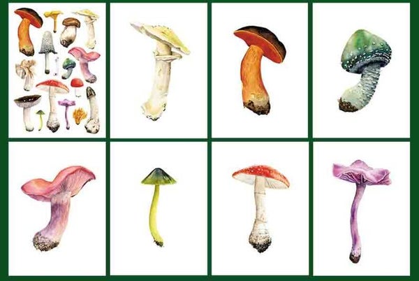 Paddenstoelenkaarten - set van 8