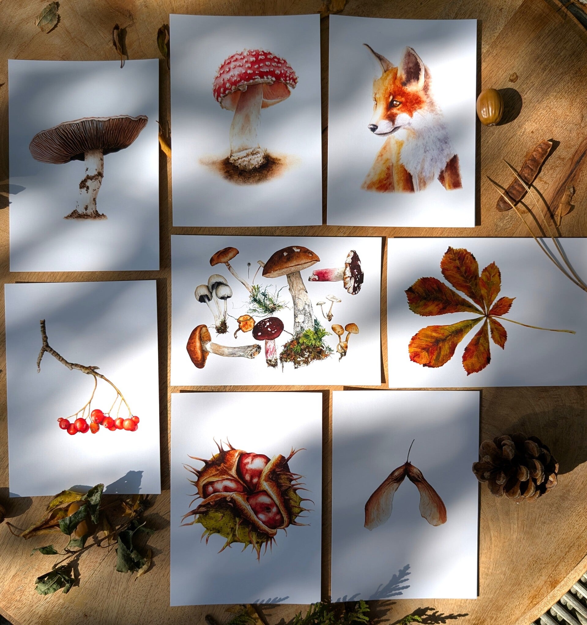 Herfstkaarten - set van 8