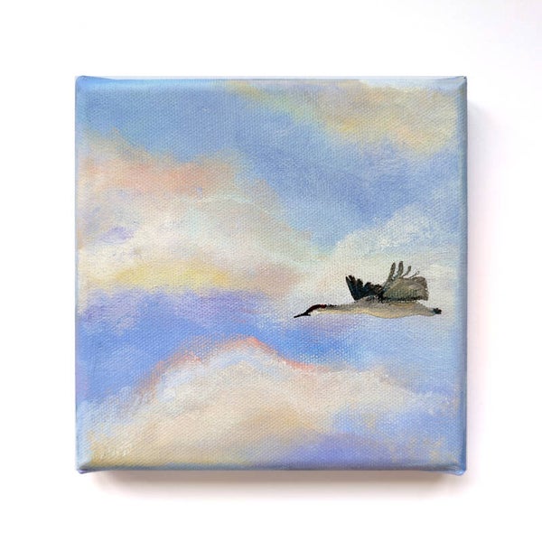 Serie 'In het spoor van de zon' - kraanvogel XI