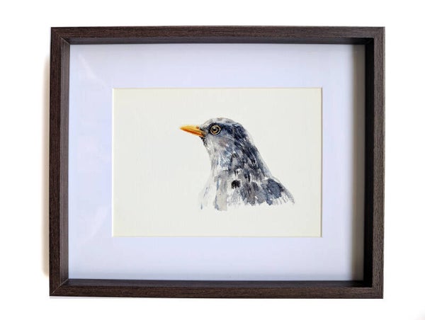 Ingelijste aquarel van een merel