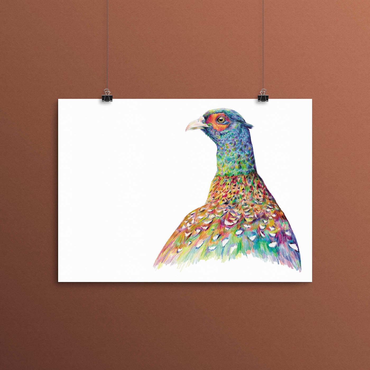 Print "regenboogfazant" A3