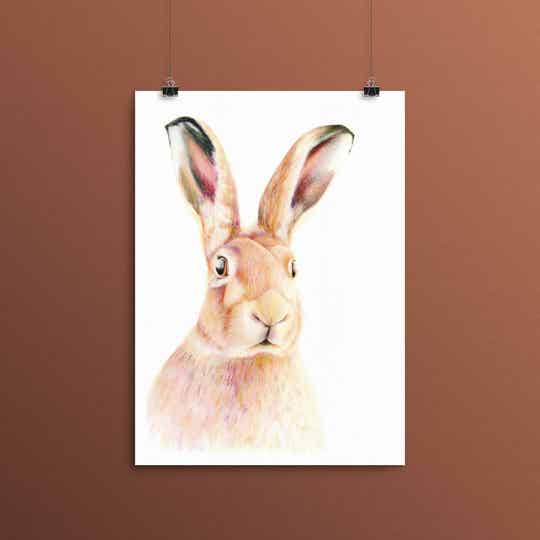 Print "Regenbooghaas" A3