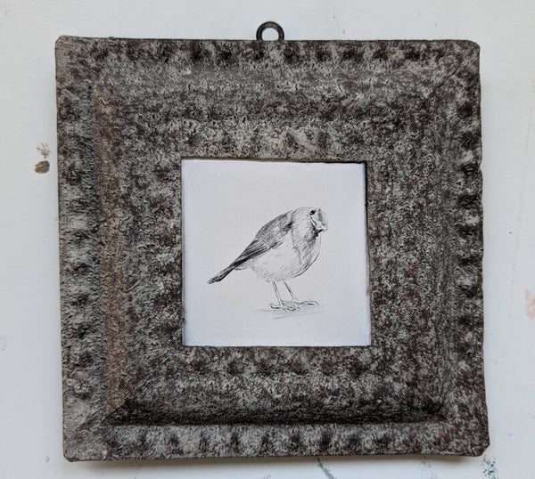 Potloodtekening van een roodborstje in een vintage metalen lijstje