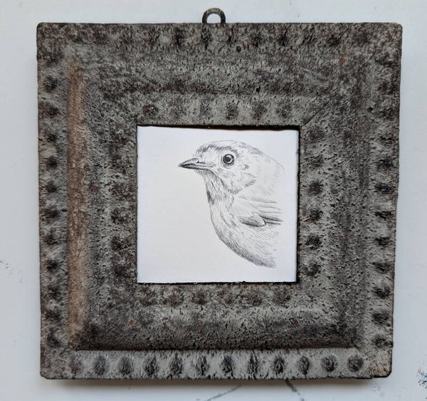 Potloodtekening van een roodborstje in een vintage metalen lijstje