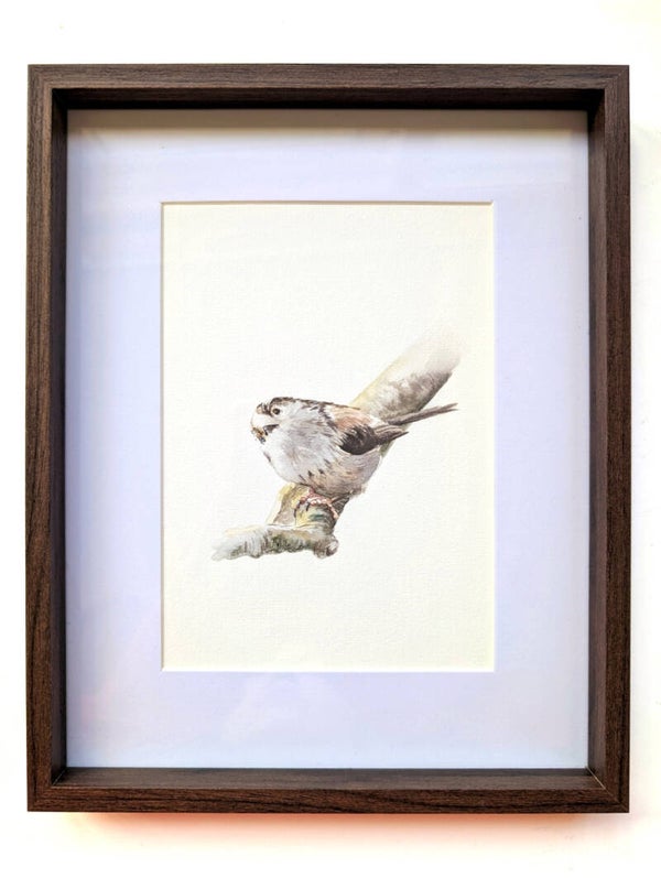 Ingelijste aquarel van een staartmeesje