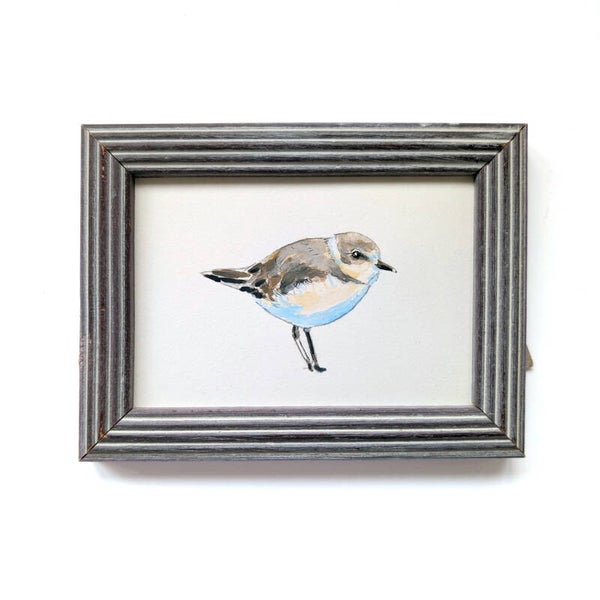 Ingelijste gouache van een strandlopertje