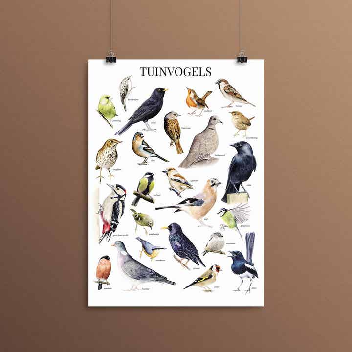 Tuinvogelposter