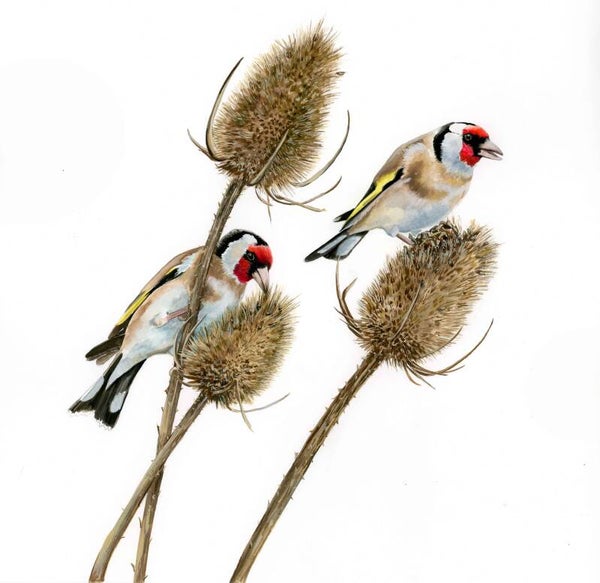 Uit eten - putters in gouache