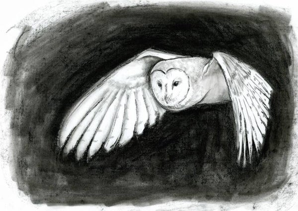 Nachtelijke vlucht - uil in houtskool