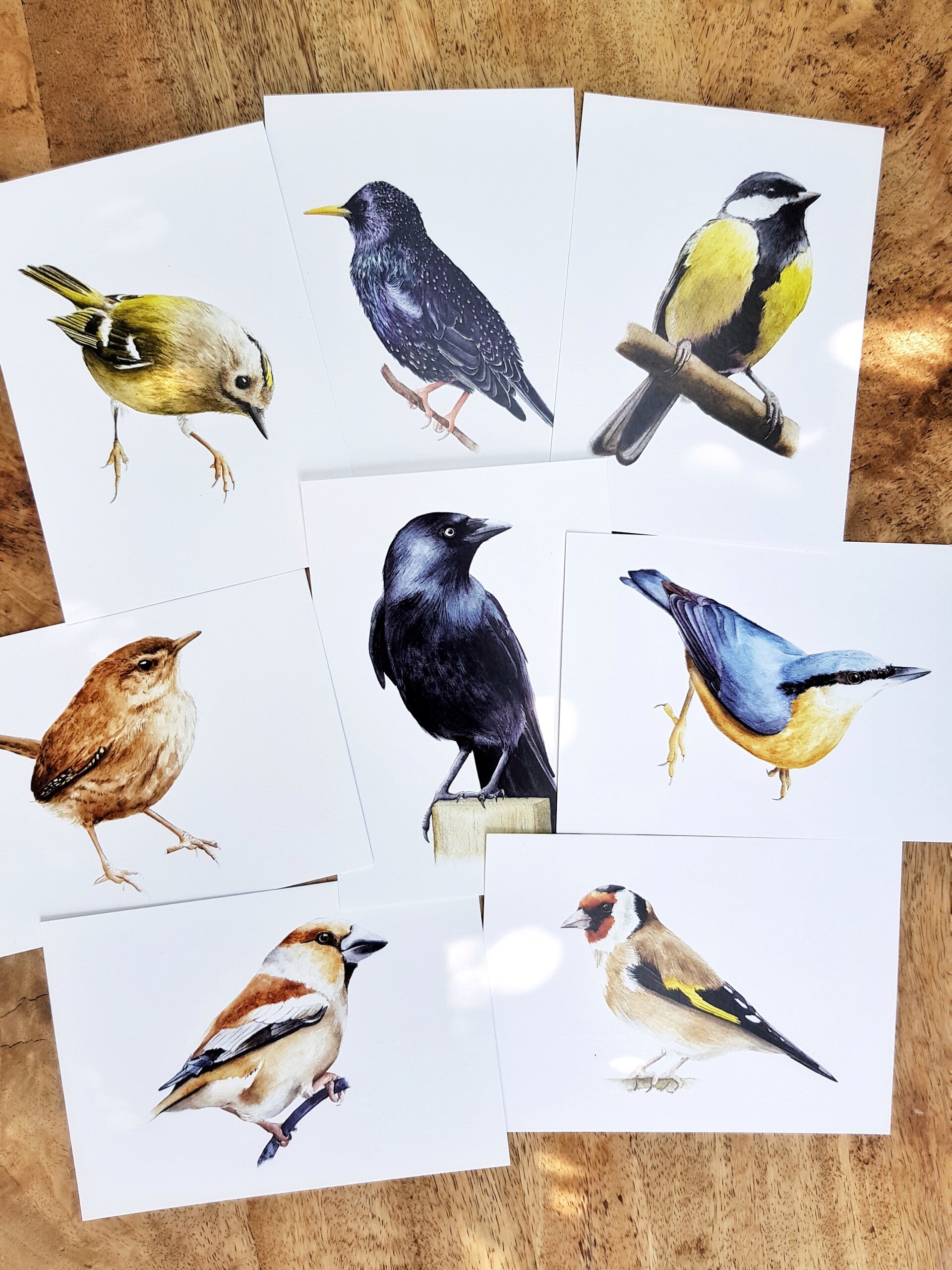 Set II van 8 tuinvogelkaarten