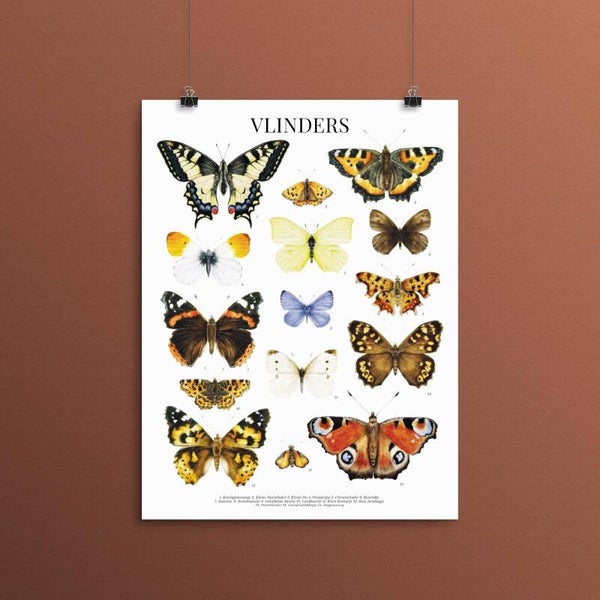 Vlinderposter